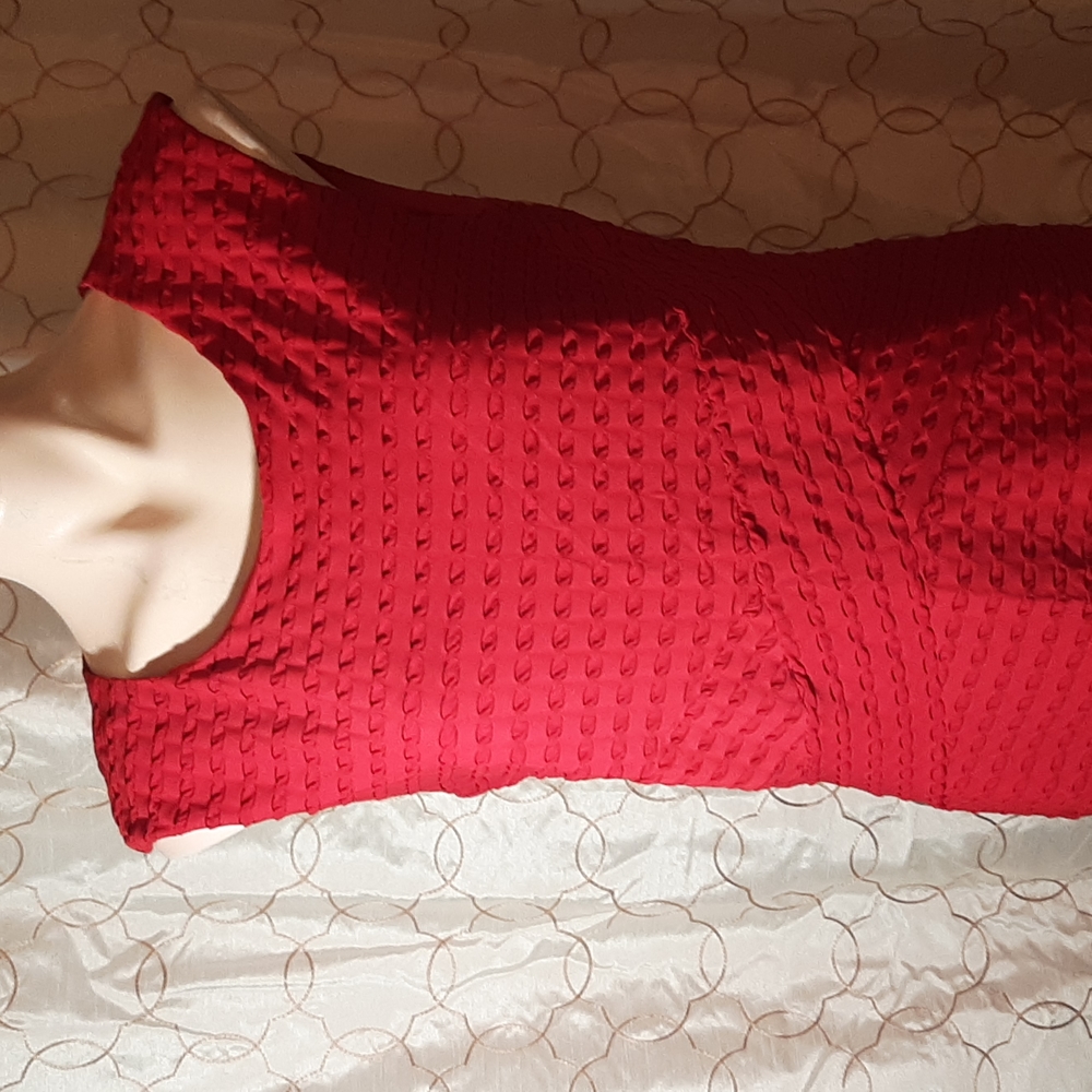 North Star Red and Black Dress. Size 12